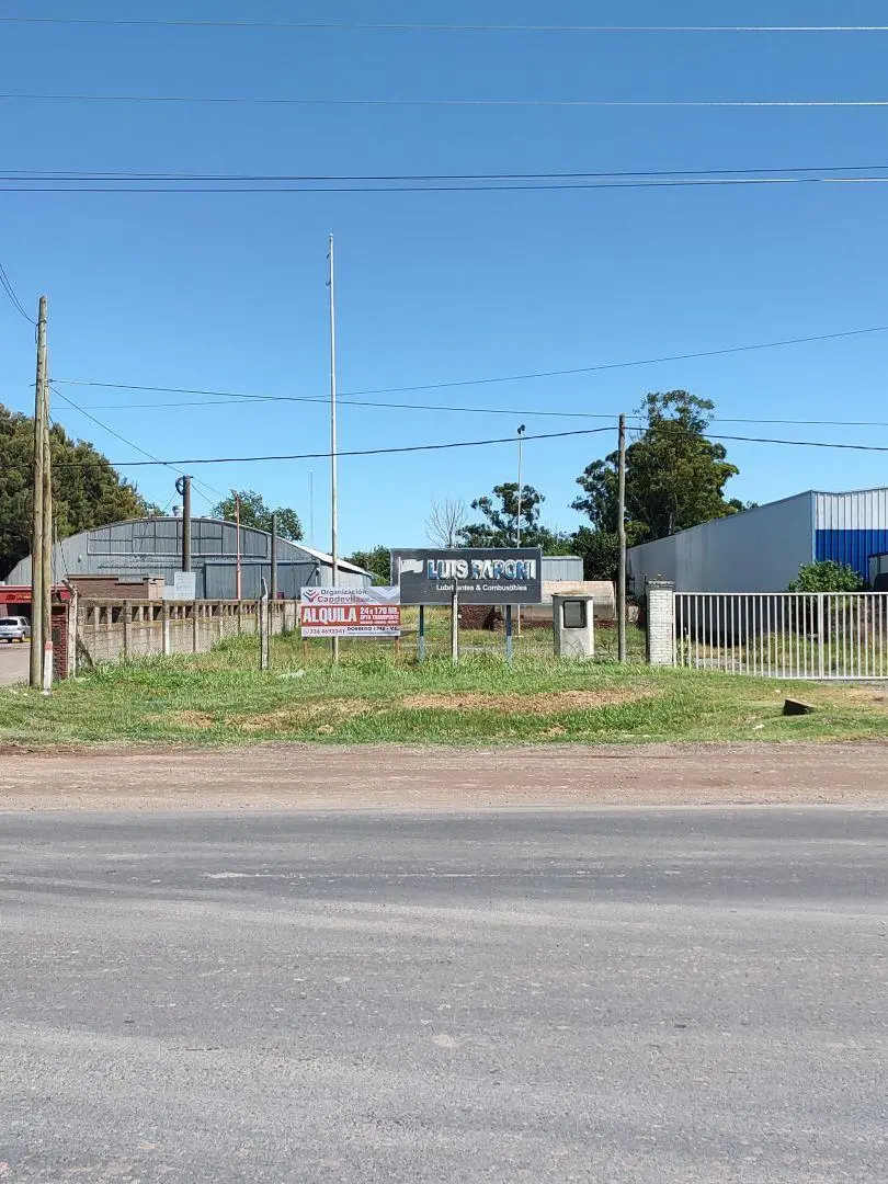 Lote . | presidente peron (chapuy) 2
