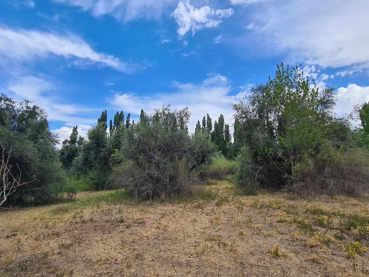Terreno en Venta en El Corazón de Chacras de Coria! 4