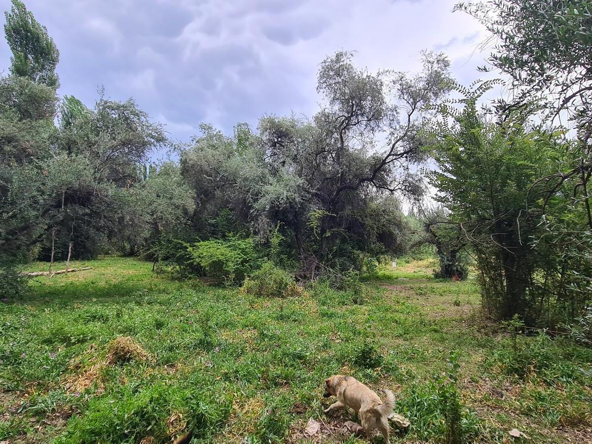 Terreno en Venta en El Corazón de Chacras de Coria! 2