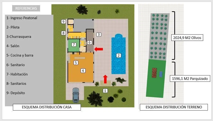 Plano 1