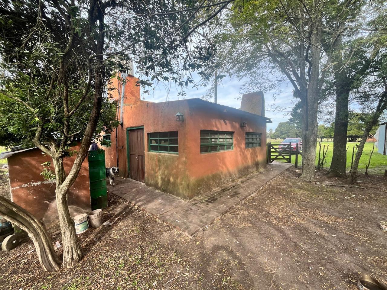 Foto de la propiedad en San Francisco de Asis 7800, Parque Peña, Mar del Plata