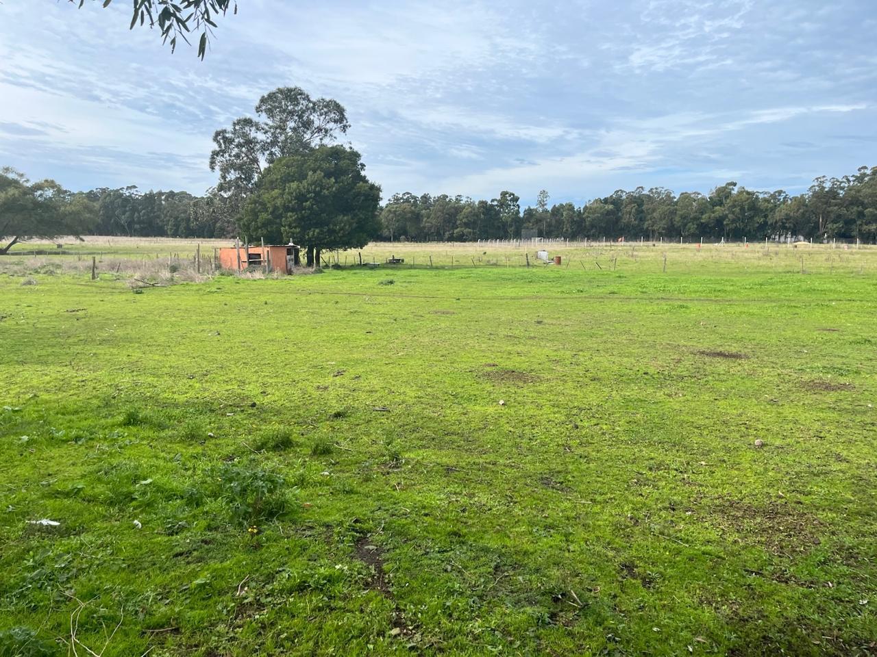 Foto de LATORRE PROP. VENDE CAMPO DE 4 HECTAREAS, imagen 2