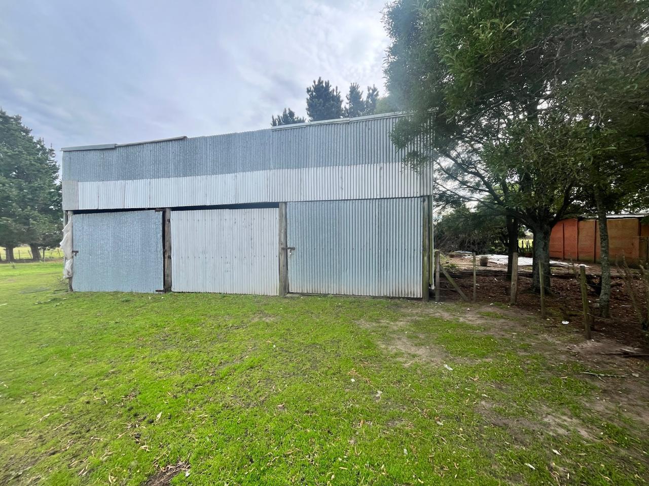 Foto de LATORRE PROP. VENDE CAMPO DE 4 HECTAREAS, imagen 5