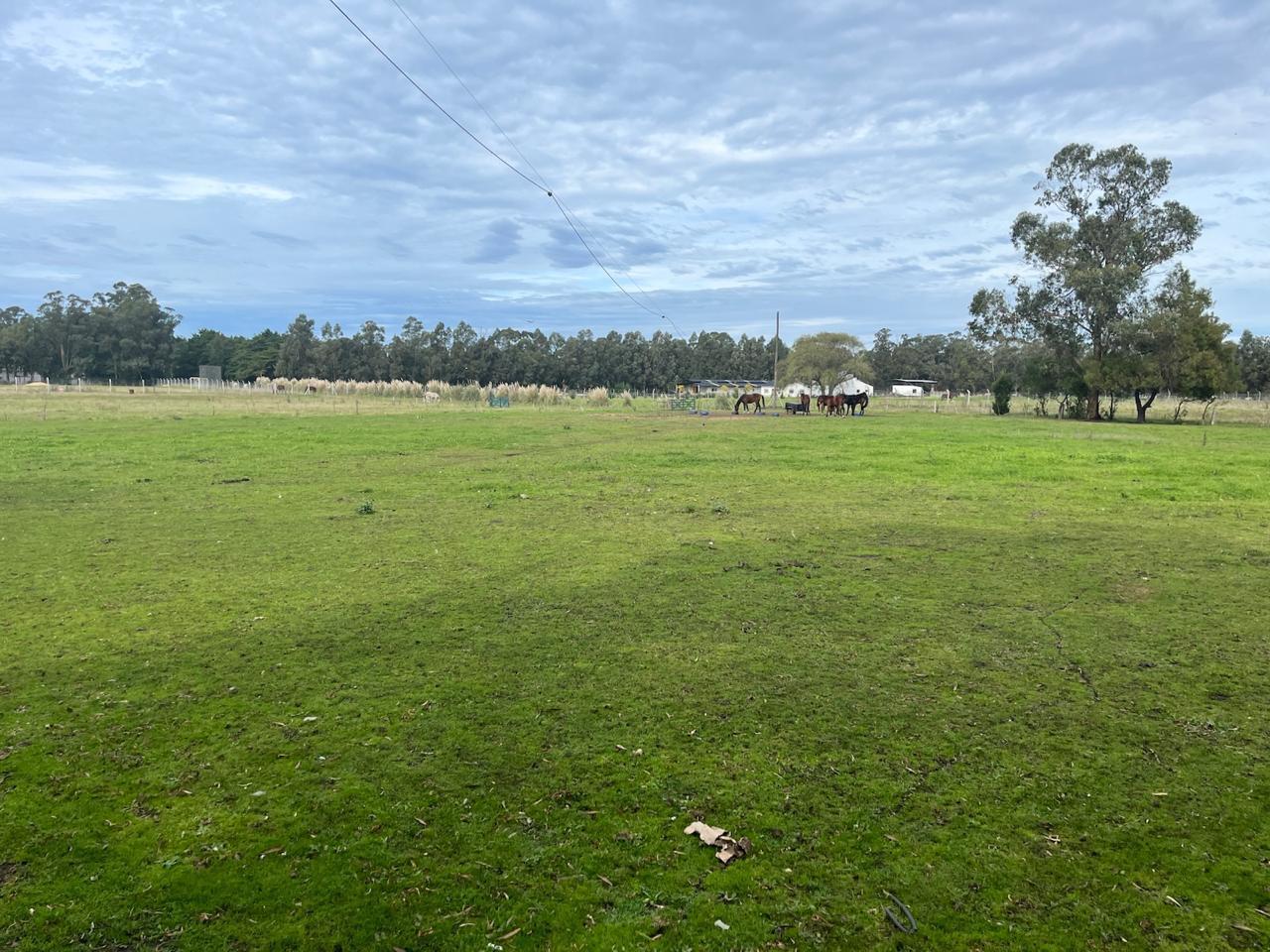 LATORRE PROP. VENDE CAMPO DE 4 HECTAREAS