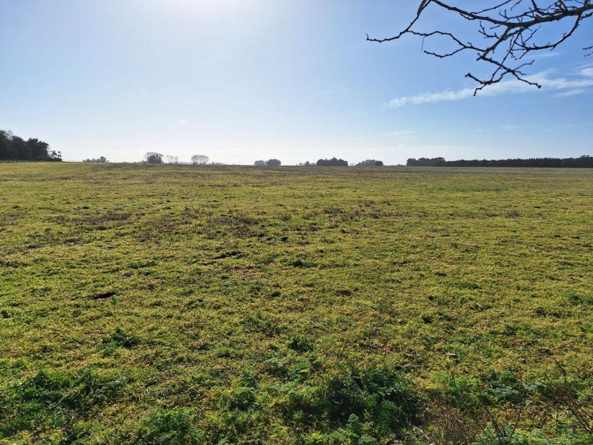 Foto de LATORRE PROP. VENDE 41 HECTAREAS EN ZONA MAR CHIQUITA, imagen 4