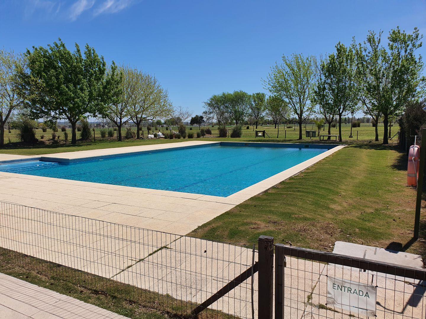Lote . | Area 10