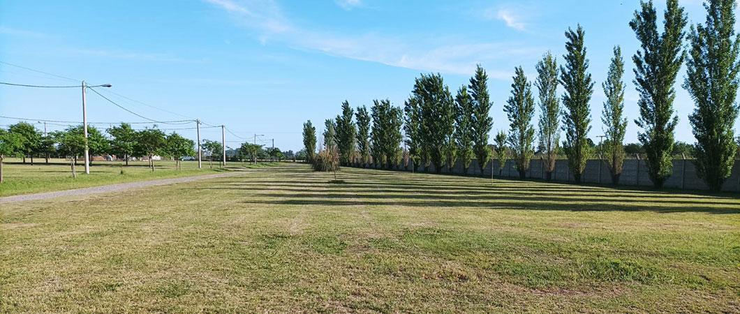 VENTA terreno Las Casuarinas Club Logaritmo Rugby