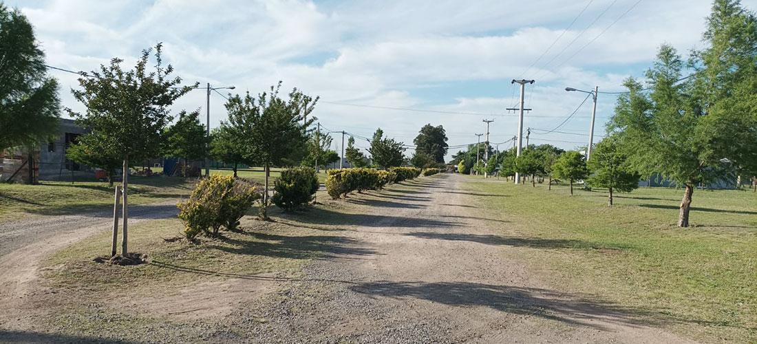Foto de VENTA terreno Las Casuarinas Club Logaritmo Rugby, imagen 4