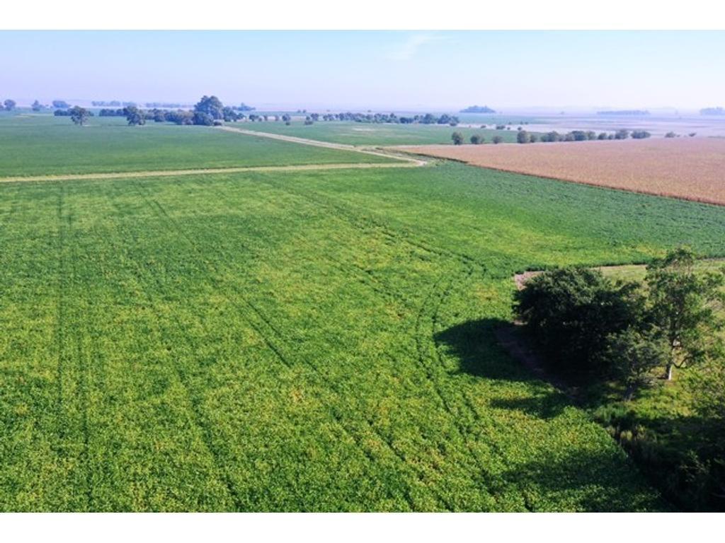 Campo de 55 Hectáreas en Saladillo 4
