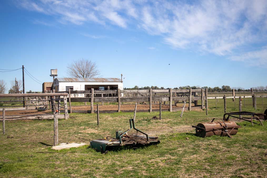 Campo de 77 Hectáreas con Mejoras en Abbott, San Miguel del Monte 4