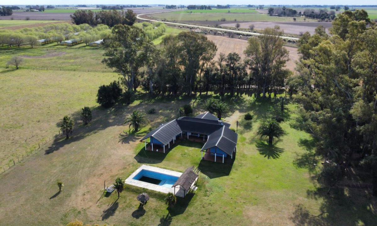 Campo de 33,7 Ha con Importantes Mejoras 2