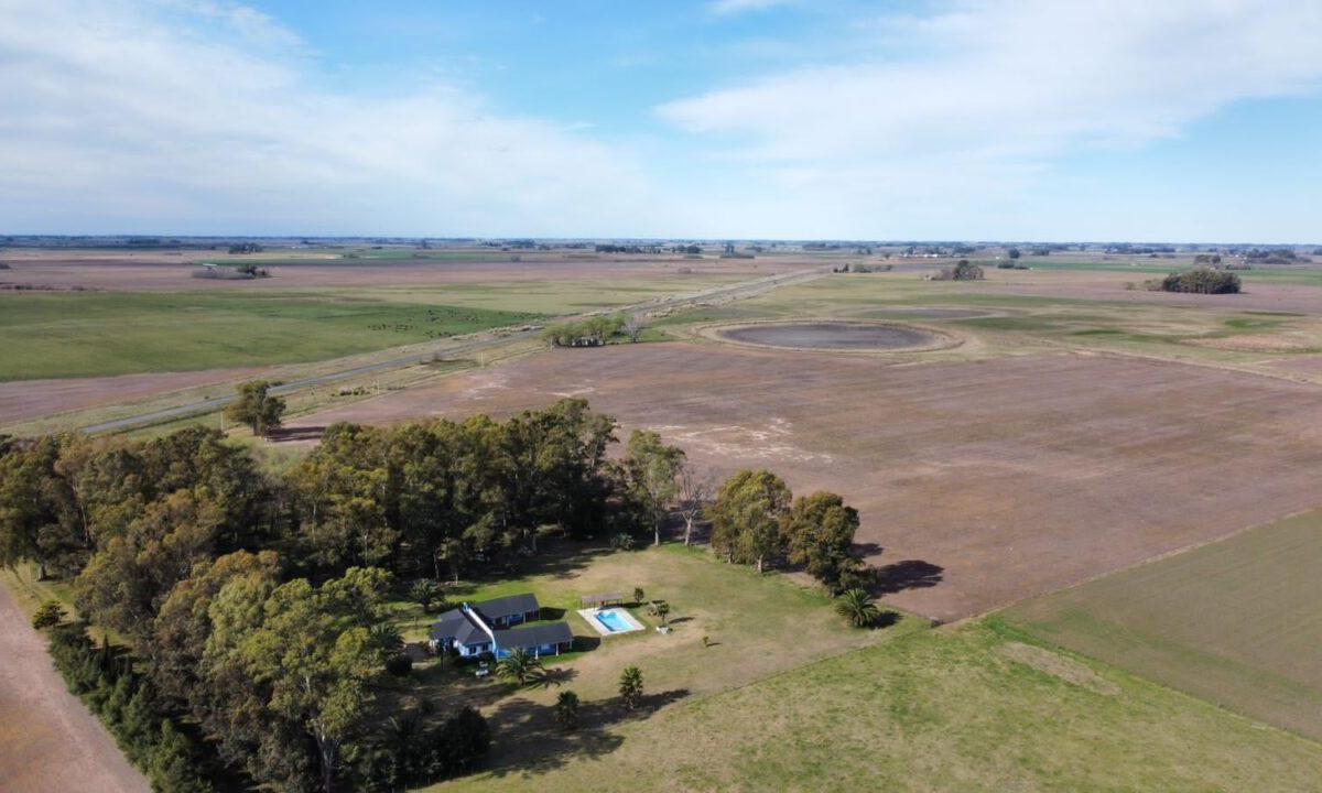 Campo de 33,7 Ha con Importantes Mejoras 5