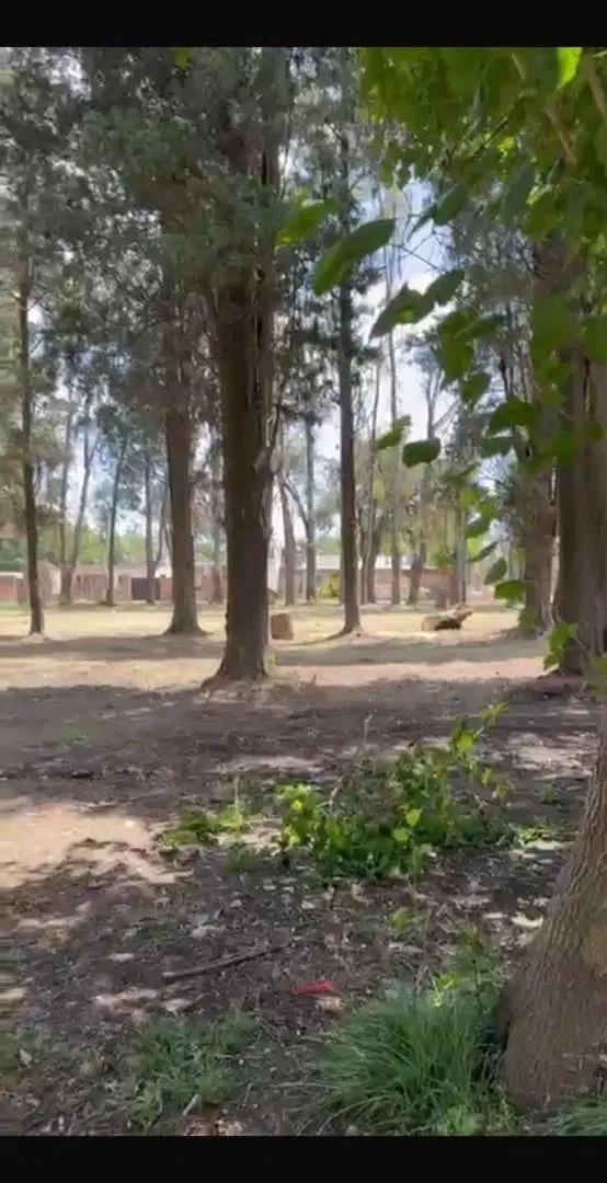Venta de Lotes en Pinares de Echeverría 1