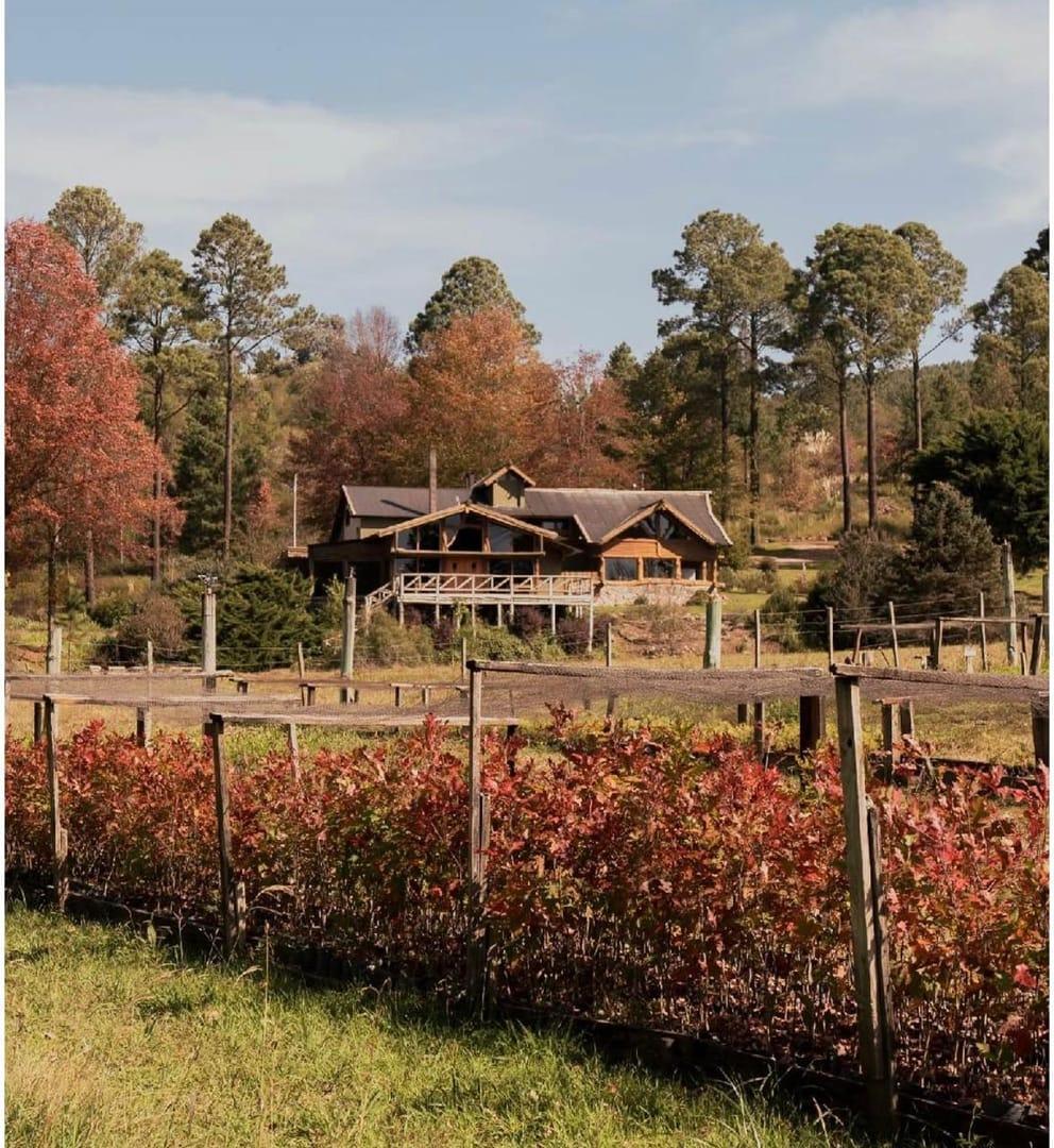 Foto de ESTANCIA 970 HA - 10 CABANAS - RESTAURANTE - SUM - POTRERO DE GARAY, imagen 2