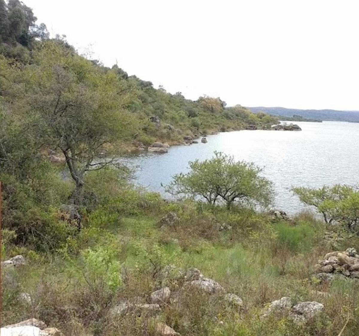 Foto de Venta Campo 11Has. Derechos Posesorios por Escritura Pública + 40 años, imagen 5