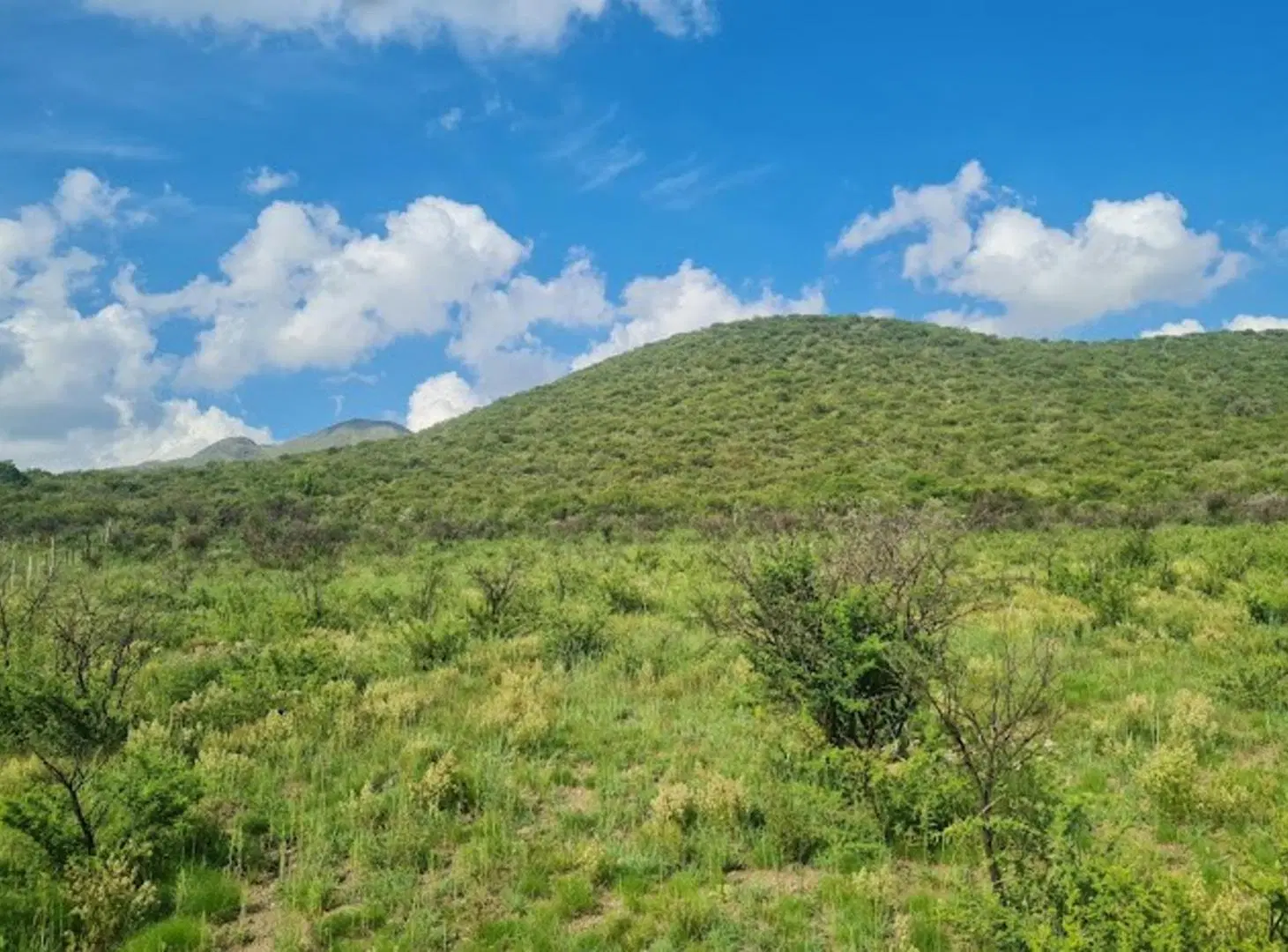 Retasado Venta Oportunidad 17.508m2 Ideal Complejo de Cabañas Escritura en Cruz Grande La Cumbre U$S 3