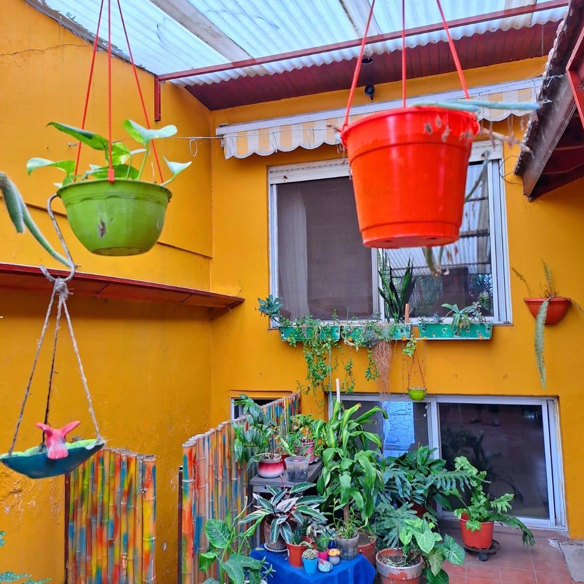 Foto de Calle 163 al 600 Bernal oeste, imagen 4