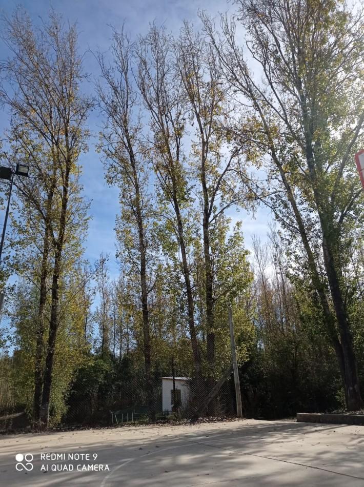 Monoambiente Amoblado y Equipado Zona Centro Villa Yacanto 2