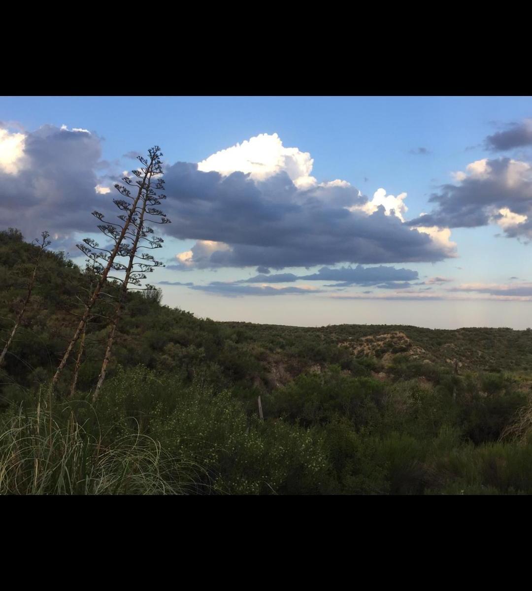 Campo en Venta Tupungato 1
