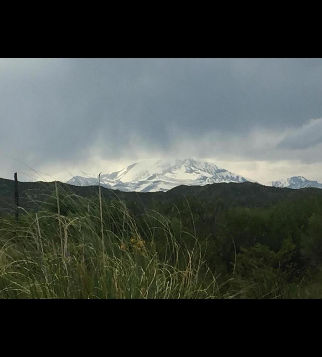 Campo en Venta Tupungato 2