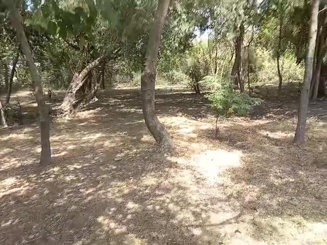 Excelentes Terrenos - Sauce Viejo 4