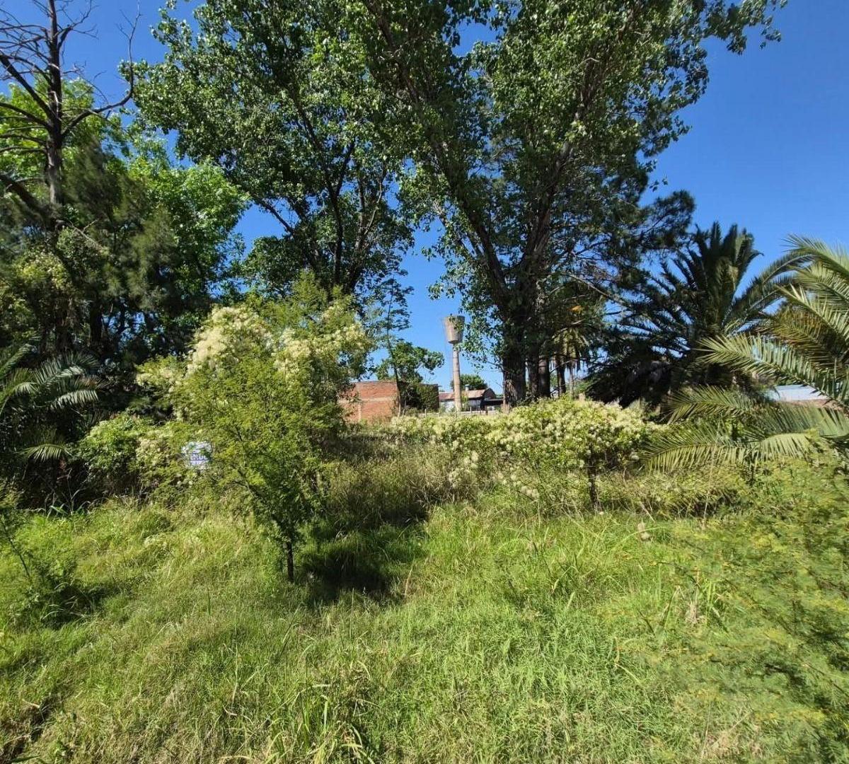 Foto de Terreno 600m2, imagen 1