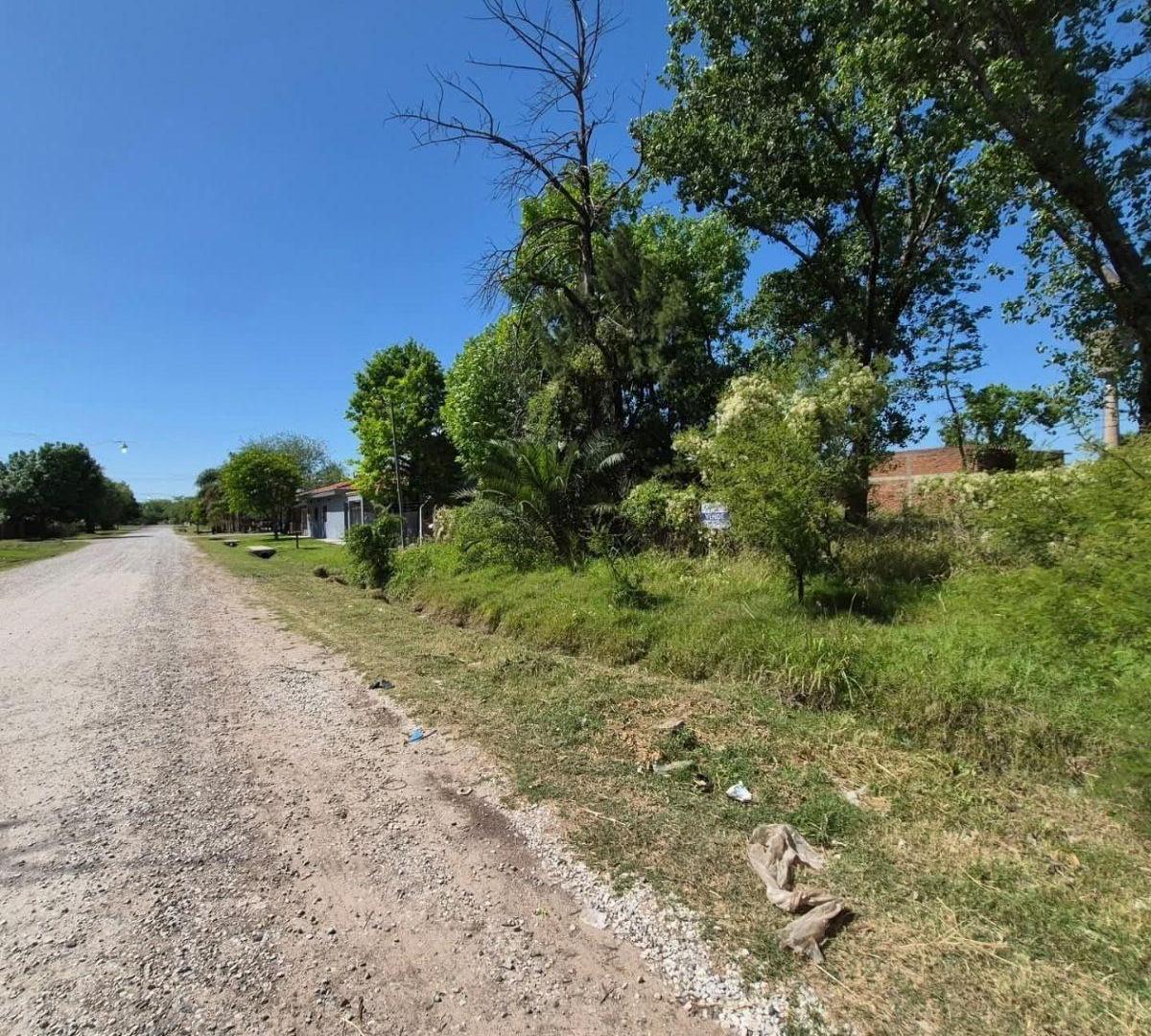 Foto de Terreno 600m2, imagen 5