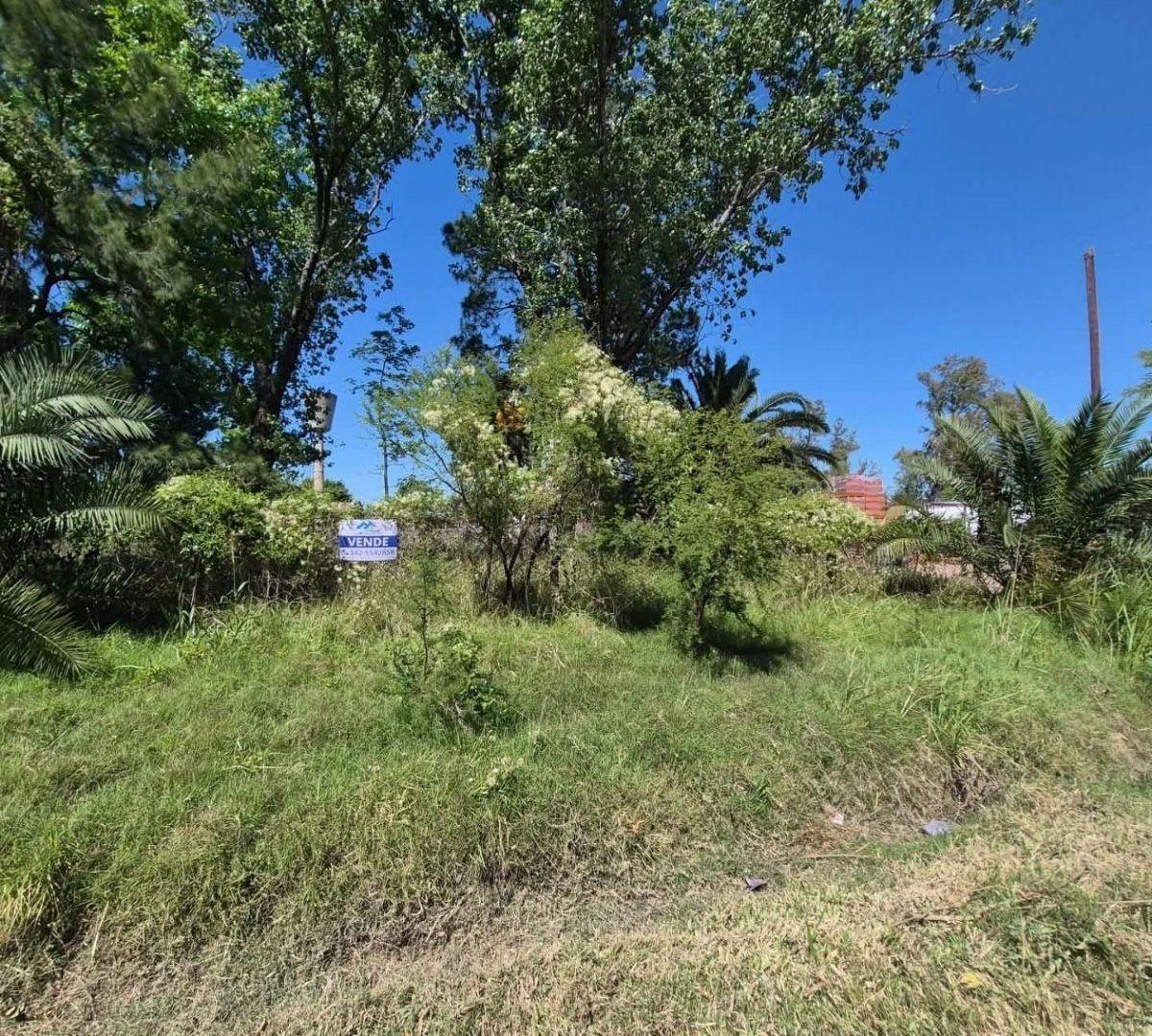 Foto de Terreno 600m2, imagen 2