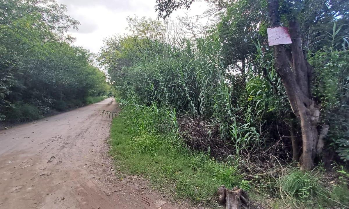 Foto de VENTA MEDIA HECTAREA BARRIO GUIÑAZU, imagen 4