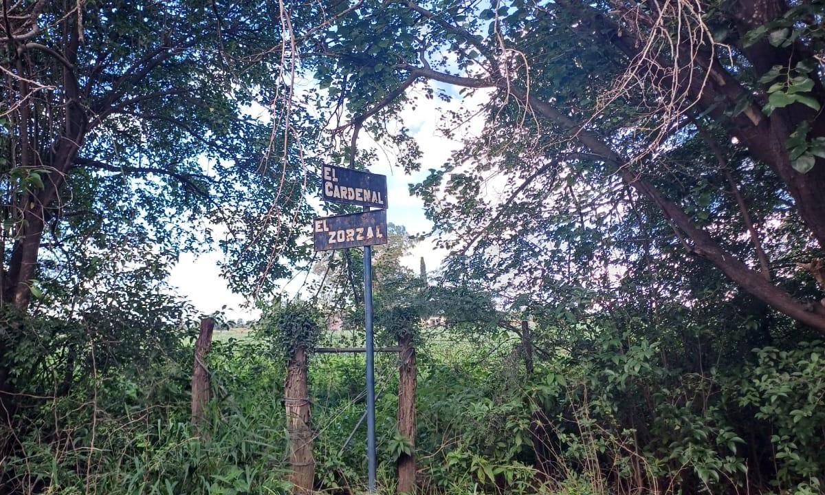 Foto de VENTA MEDIA HECTAREA BARRIO GUIÑAZU, imagen 3