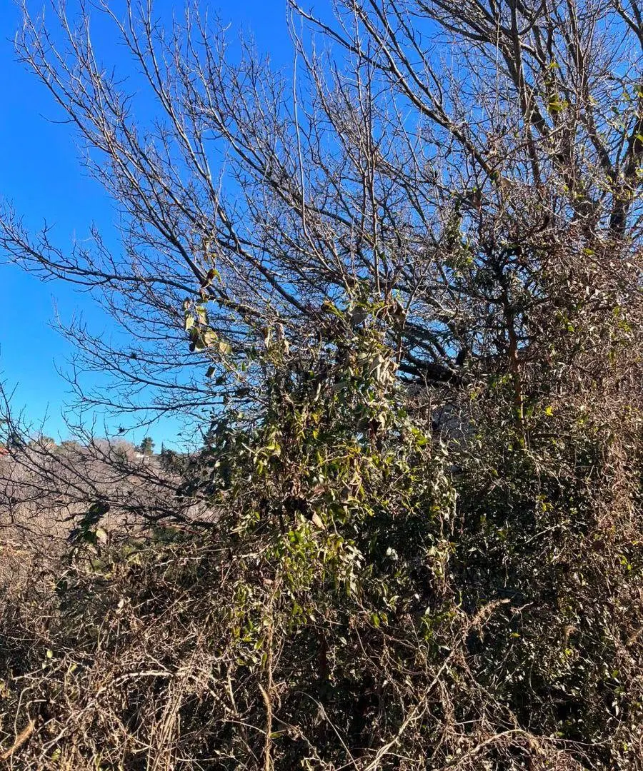 TERRENO EN EL SALSIPUEDES B° CERRO DEL SOL 3