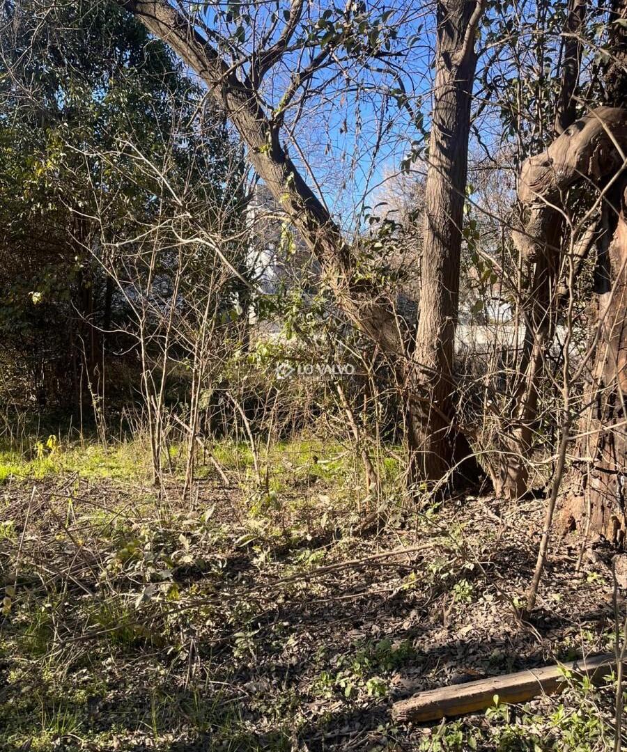 Foto de DOS LOTES EN SALSIPUEDES SALIDA A DOS CALLES, imagen 1