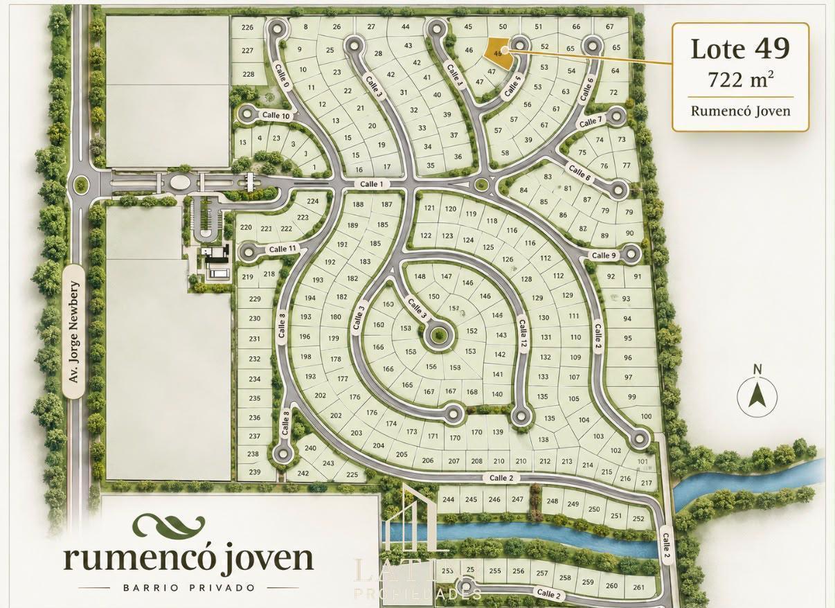 Foto de Venta Lote Rumenco Joven, imagen 4
