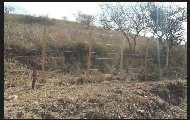 Foto de LOTE SOBRE RUTA S271 LAS JARILLAS, imagen 3