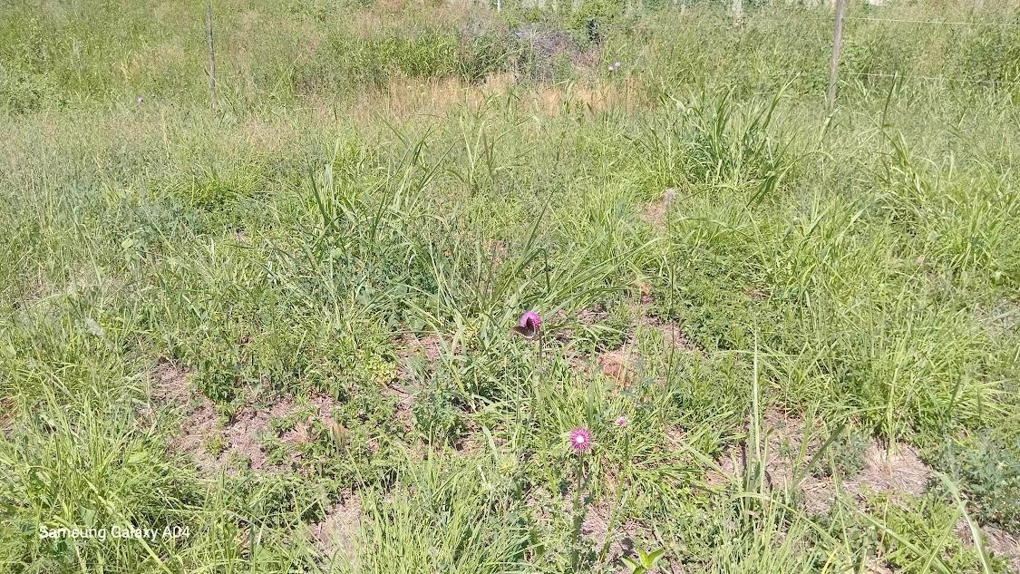 Venta de Terreno Sobre Ruta 28 Tanti 2