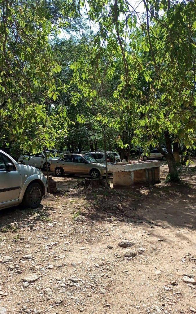 Foto de ALQUILER DE PLAYA MAS ASADORES EN LA COSTA DEL RIO, imagen 2