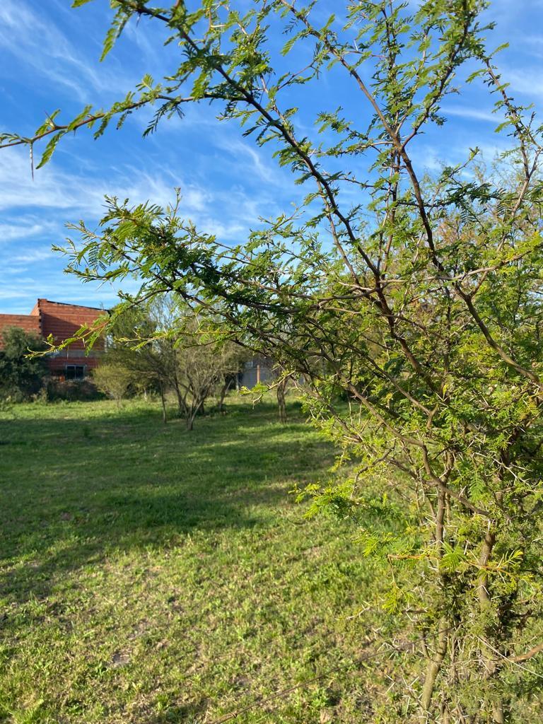 Venta Terreno 643 m² Zona Norte Gualeguaychú 2