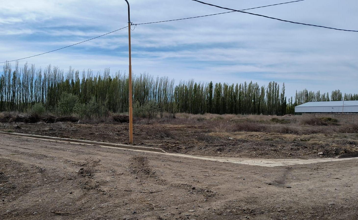 Foto de VENTA - TERRENOS - CENTENARIO , FRENTE A LA RUTA 7., imagen 4