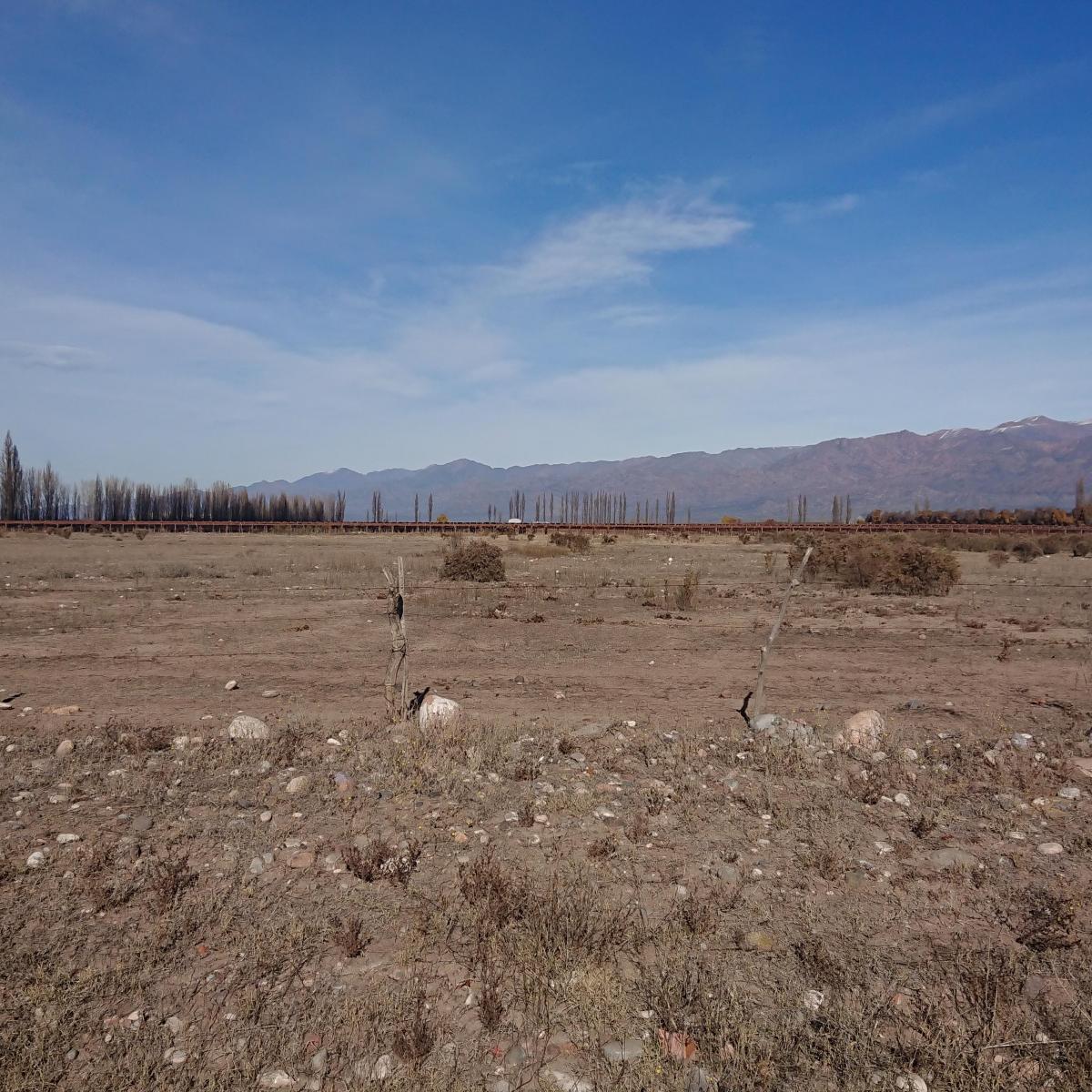 Finca Valle de Uco Ideal Viñedos Pegado a Bodega Zuccardi 5
