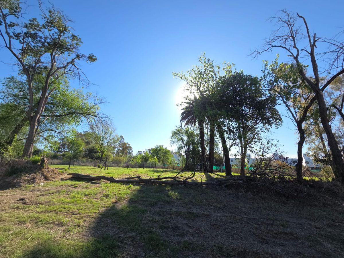 Foto de Lotes Jardín Ingles Este, Valle escondido desde USD 185.000, imagen 3