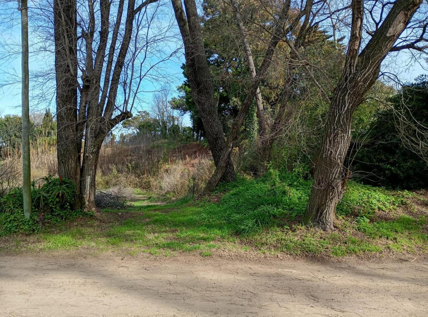 Foto de Terreno Venta Gesell, imagen 2