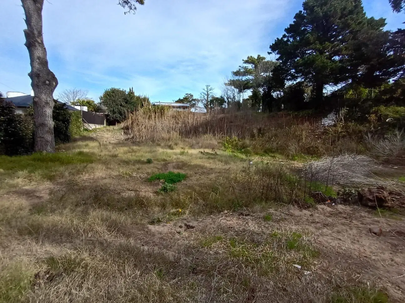 Terreno Venta Gesell 3