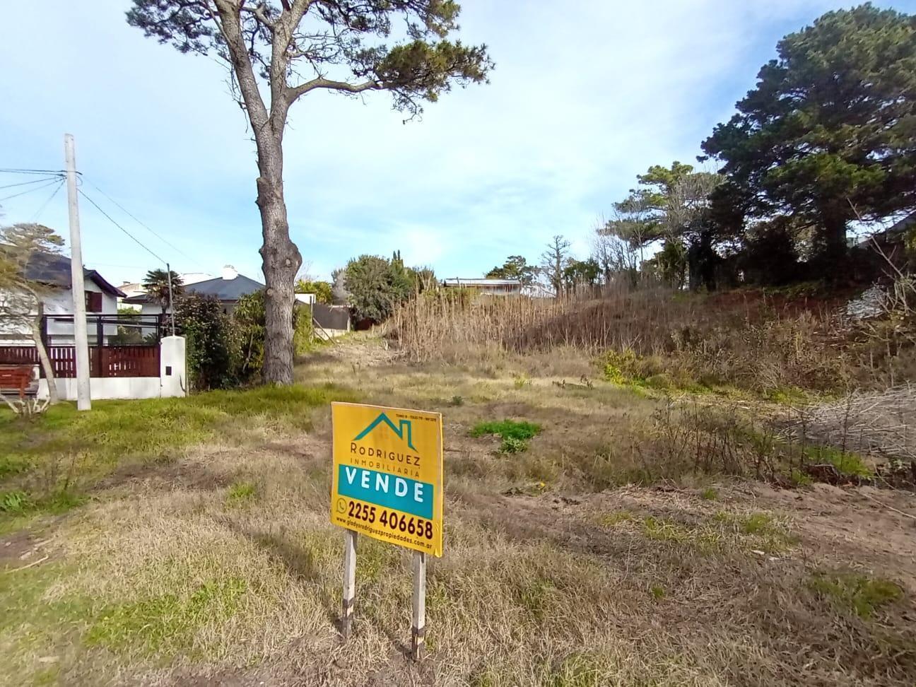 Foto de Terreno ZONA RESIDENCIAL, imagen 3