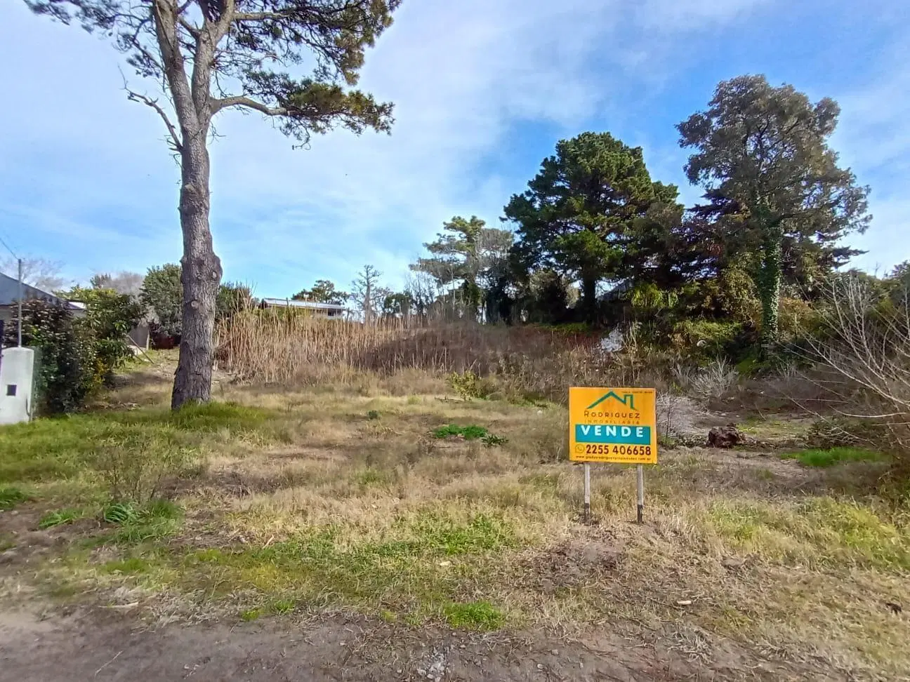 Terreno ZONA RESIDENCIAL 8