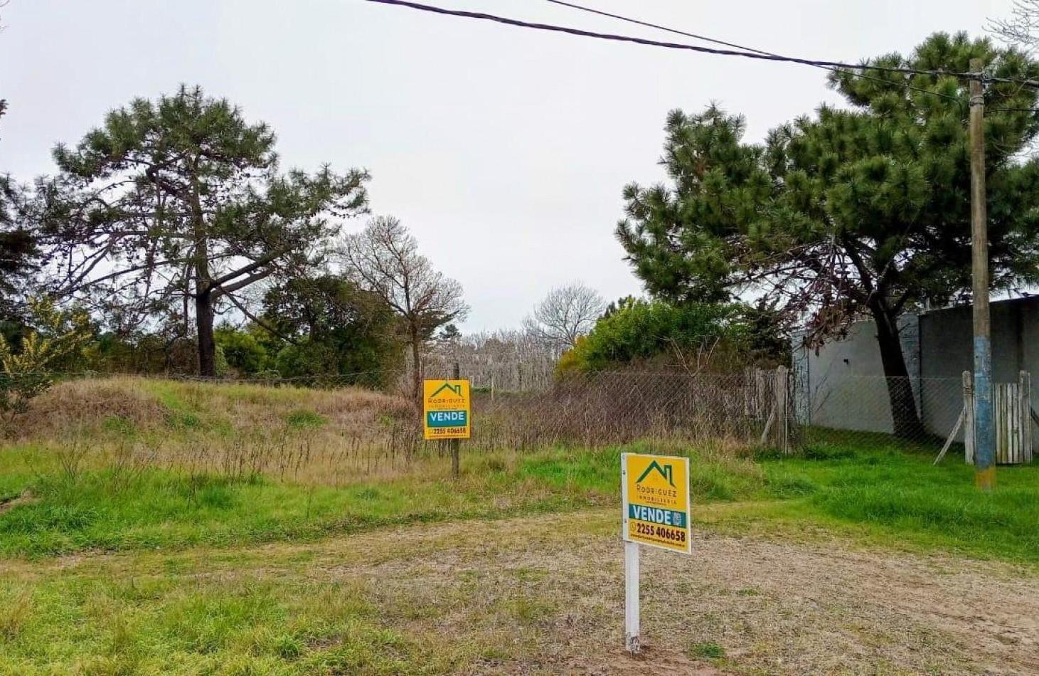 Foto de LOTE HOTELERO, imagen 2