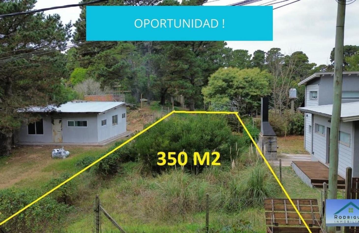 Foto de LOTE EN MAR AZUL, imagen 3
