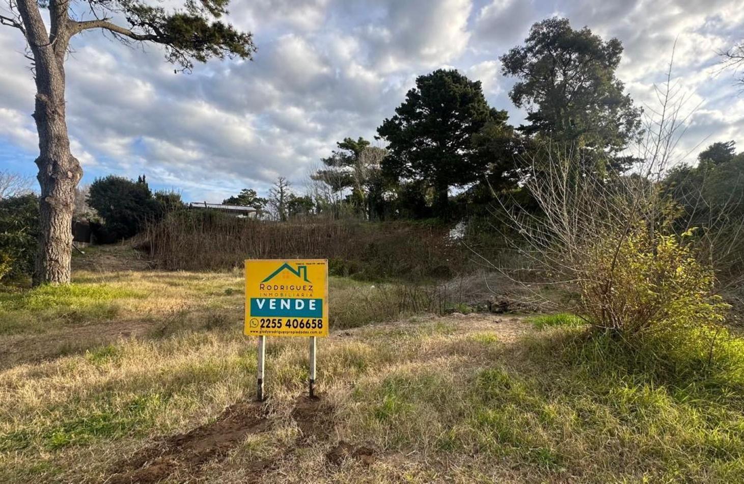 Foto de LOTE EN VENTA, imagen 4