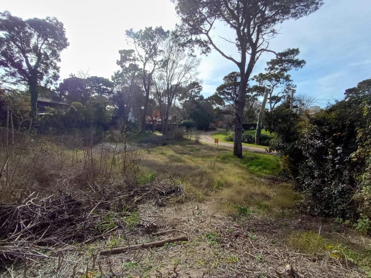 Foto de LOTE EN VENTA, imagen 3