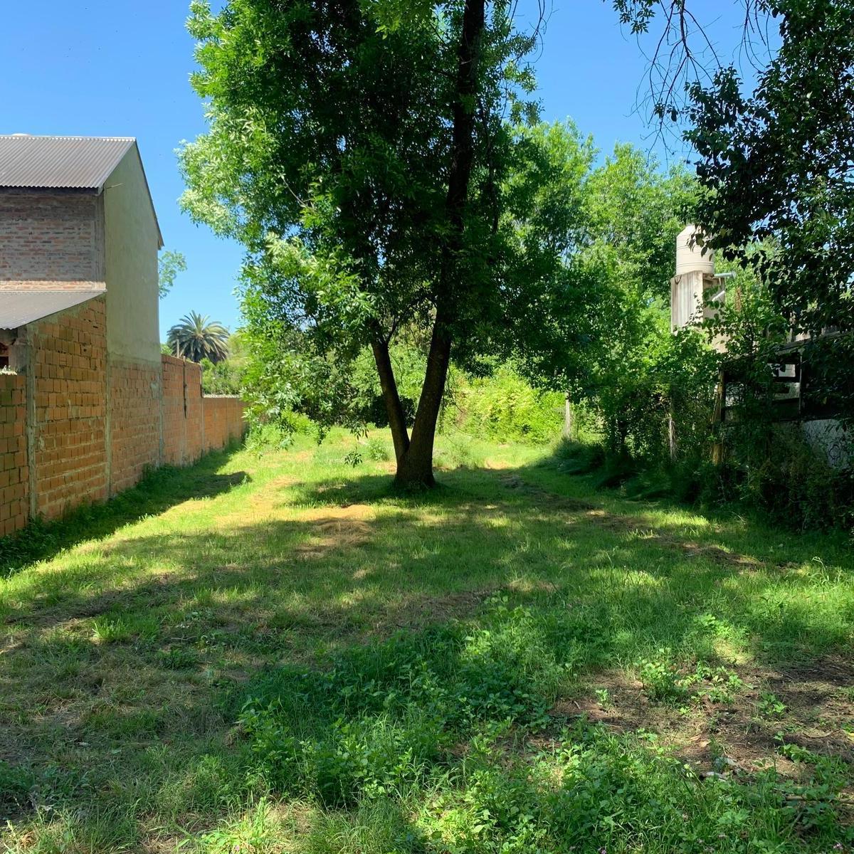 Foto de Venta de Terreno de 540 metros cuadrados, en barrio La Lonja, Pilar, imagen 4