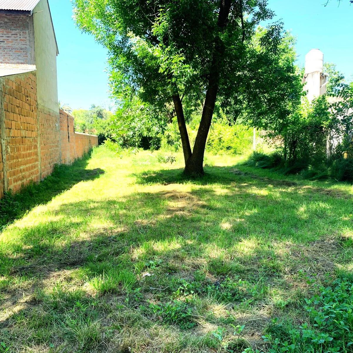 Foto de Venta de Terreno de 540 metros cuadrados, en barrio La Lonja, Pilar, imagen 5